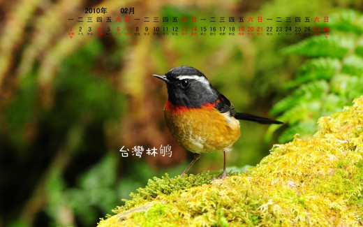 484655 (a): :1920x1200